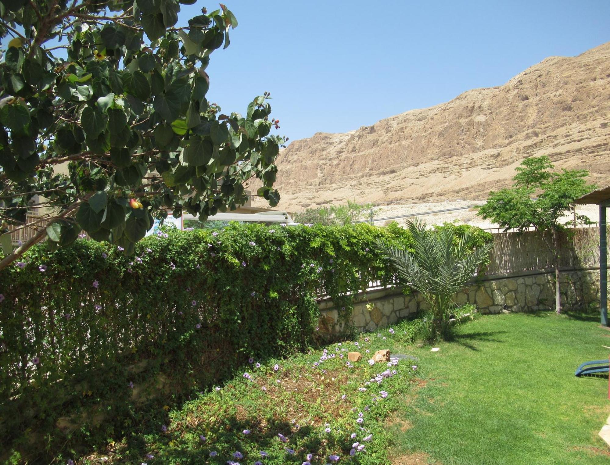 Unique&Warmy Place In The Dead Sea Avnat 외부 사진
