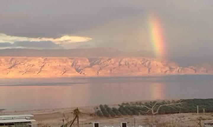 Unique&Warmy Place In The Dead Sea Avnat 외부 사진
